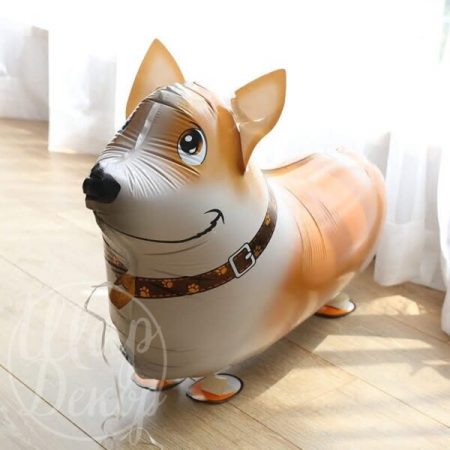 Шар ходячий Корги