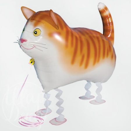 Шар ходячий Кот