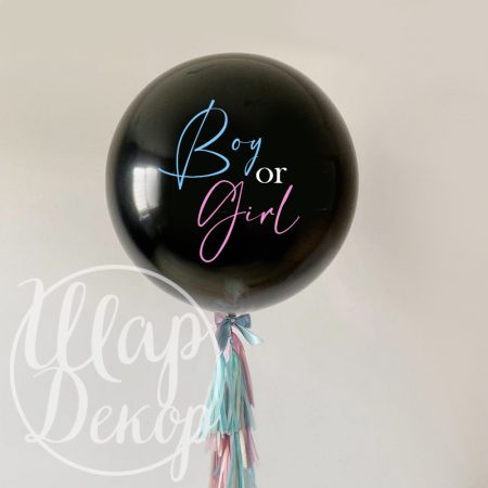 Шар с гелием на гендер пати черный Boy or Girl